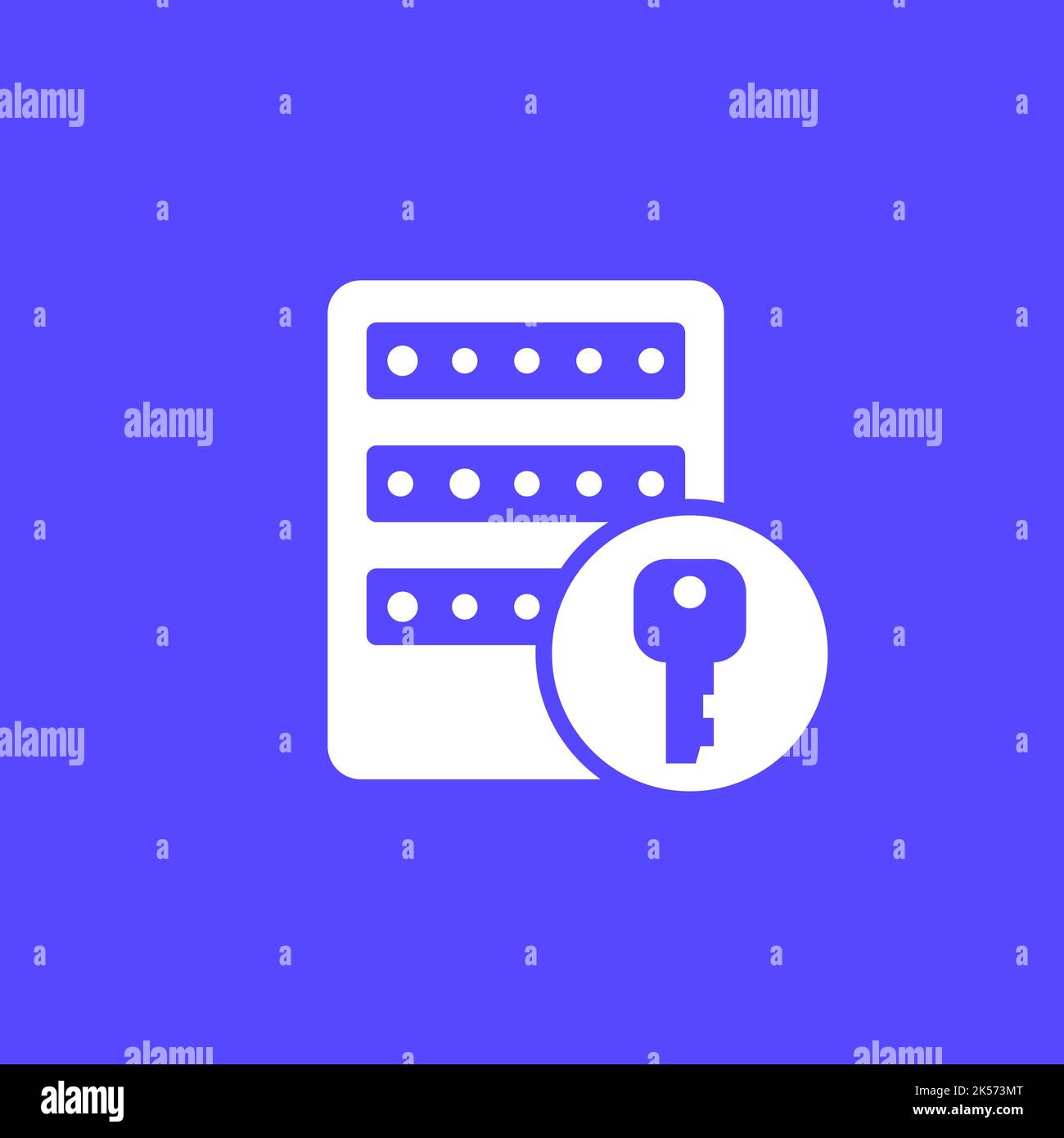 server and a key vector icon Stock Vector Image & Art - Alamy