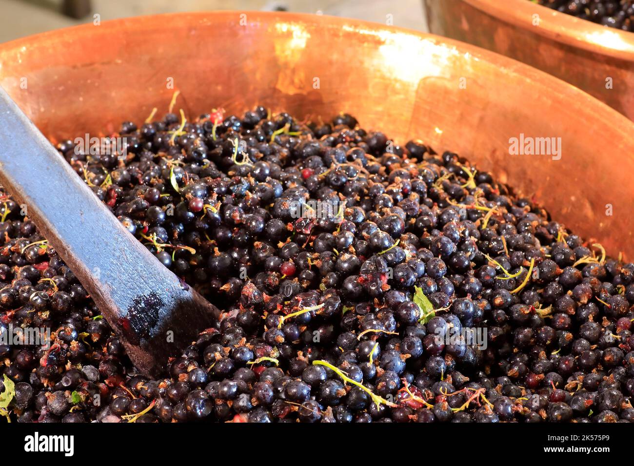 France, Cote d'Or, Nuits Saint Georges, La Ferme Fruirouge, production of crème de cassis with fruits grown and produced on the farm in an artisanal way and in organic farming Stock Photo