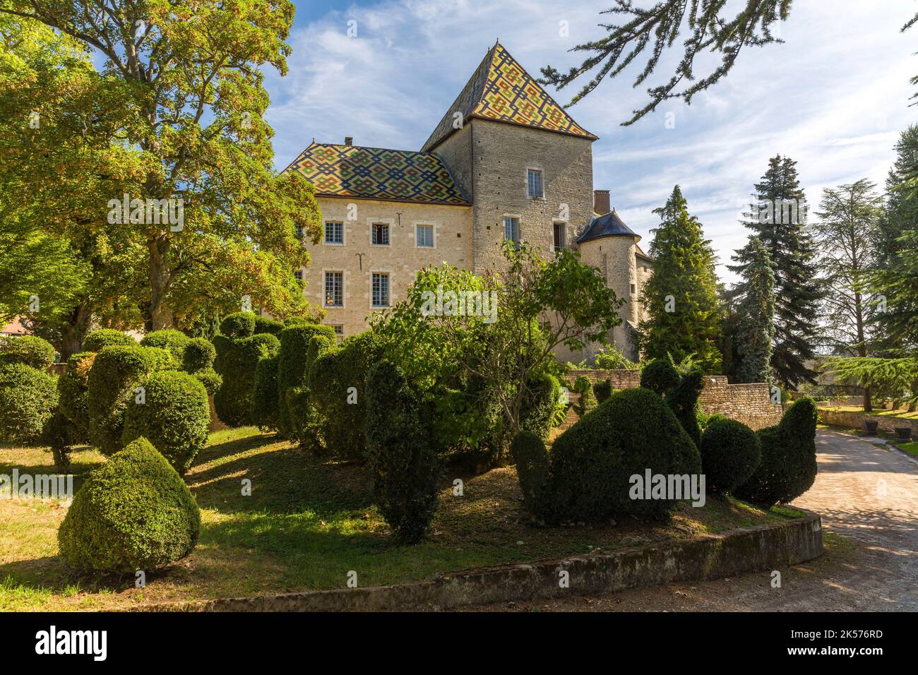 France, Cote d'Or, Santenay, Castle of Philippe le Bold, wine estate Stock Photo