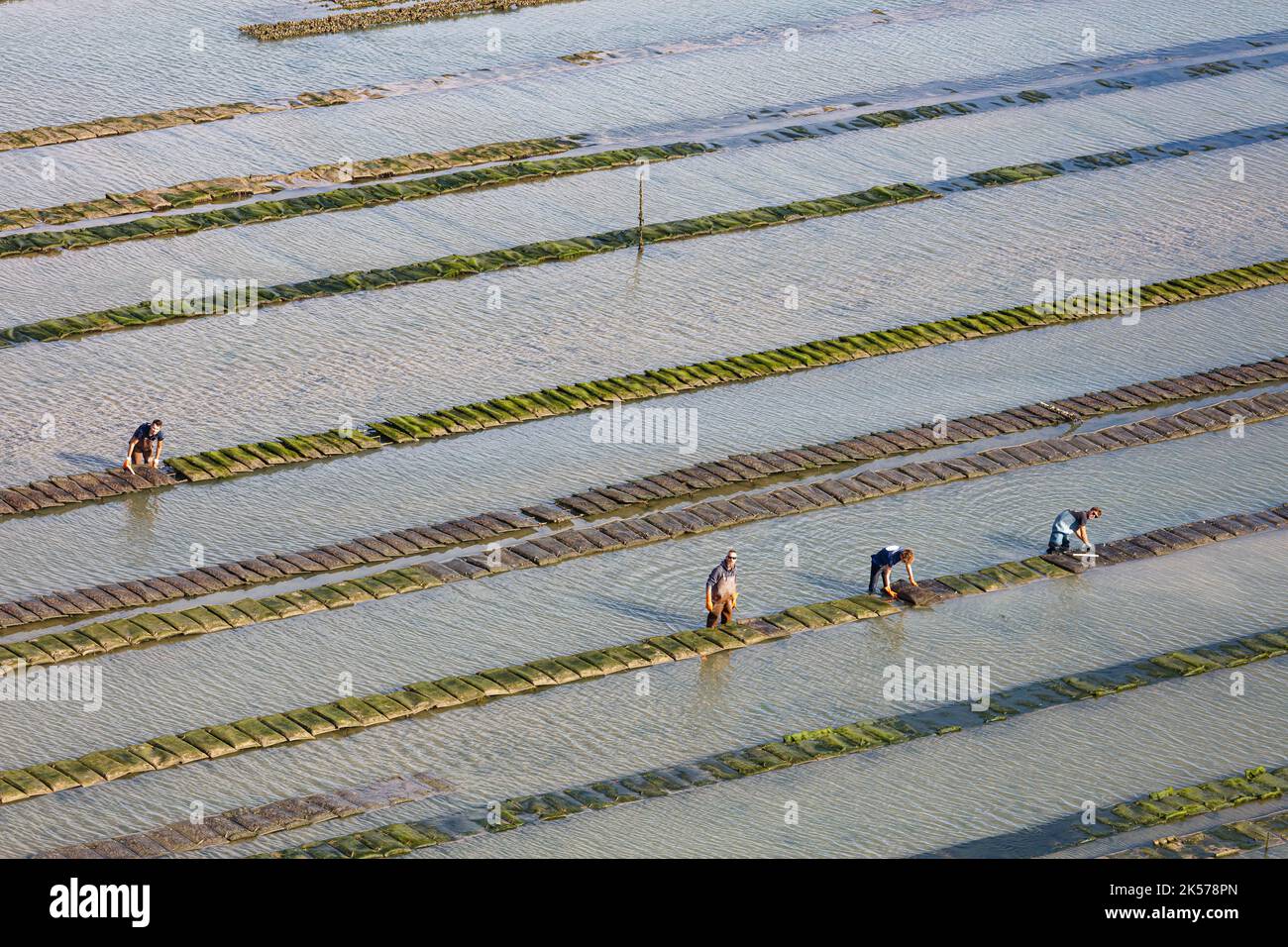 France, Charente Maritime, Le Chateau d'Oleron, oyster farmers in