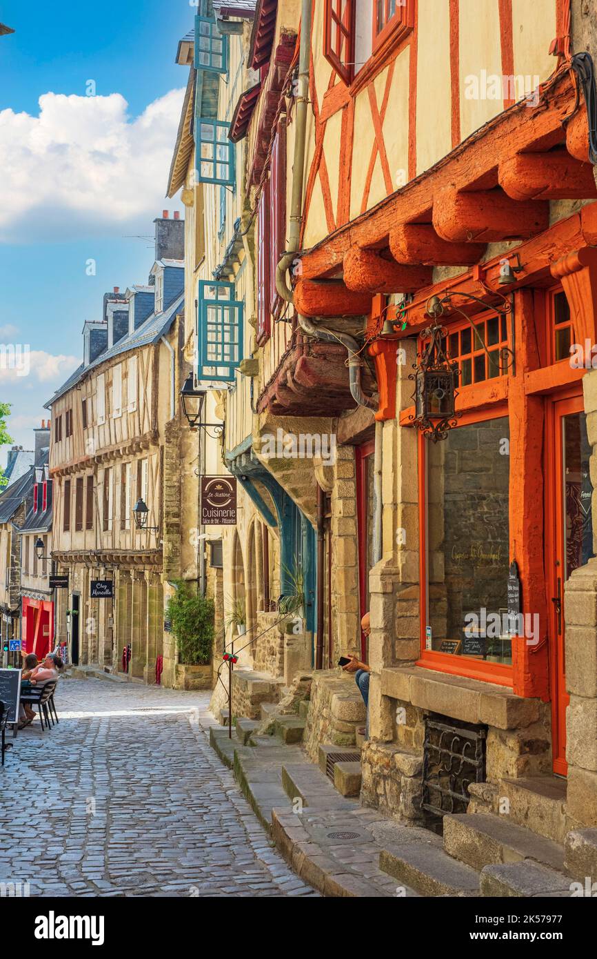 france-morbihan-gulf-of-morbihan-vannes-town-of-art-and-history