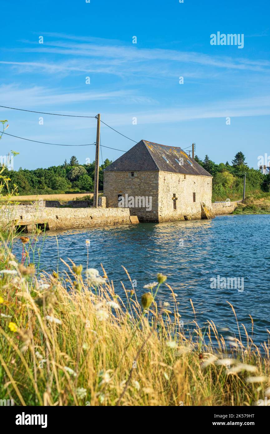 France, Morbihan, Locmariaquer, Kerouarc'h hamlet, Coët Courzo tide ...
