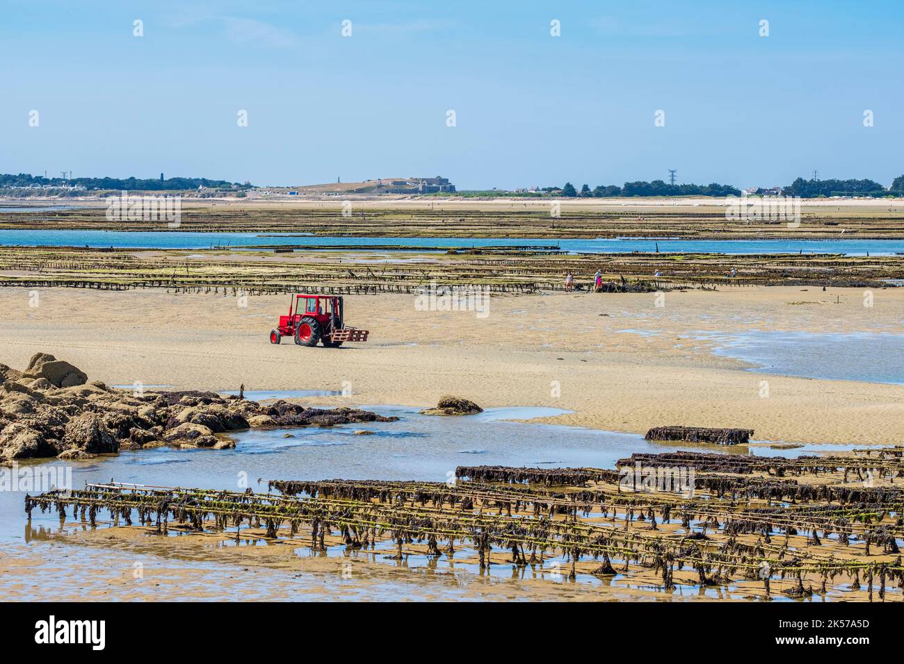 France, Morbihan, Carnac, oyster farms in Plouharnel Bay, along the ...