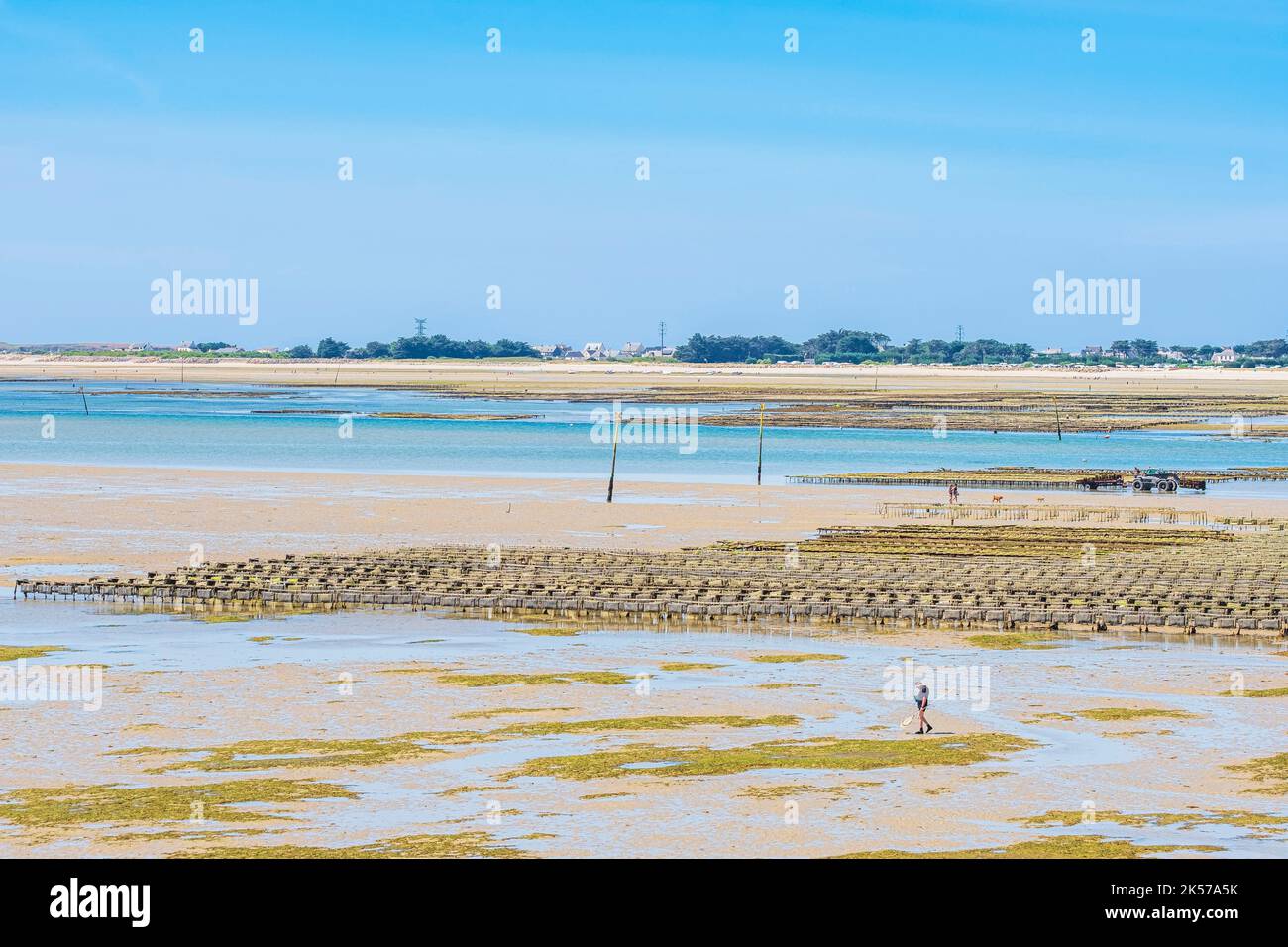France, Morbihan, Carnac, oyster farms in Plouharnel Bay, along the ...