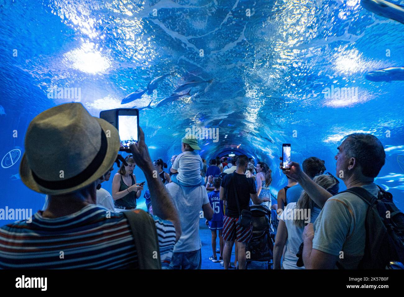 Spain Valencia City Of Sciences And Arts The Oceanografic The spain-valencia-city-of-sciences-and-arts-the-oceanografic-the