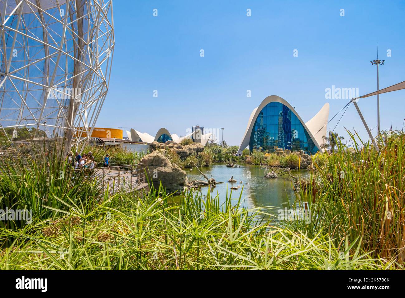 Spain, Valencia, City of Sciences and Arts, the Oceanografic, largest oceanographic park in Europe Stock Photo