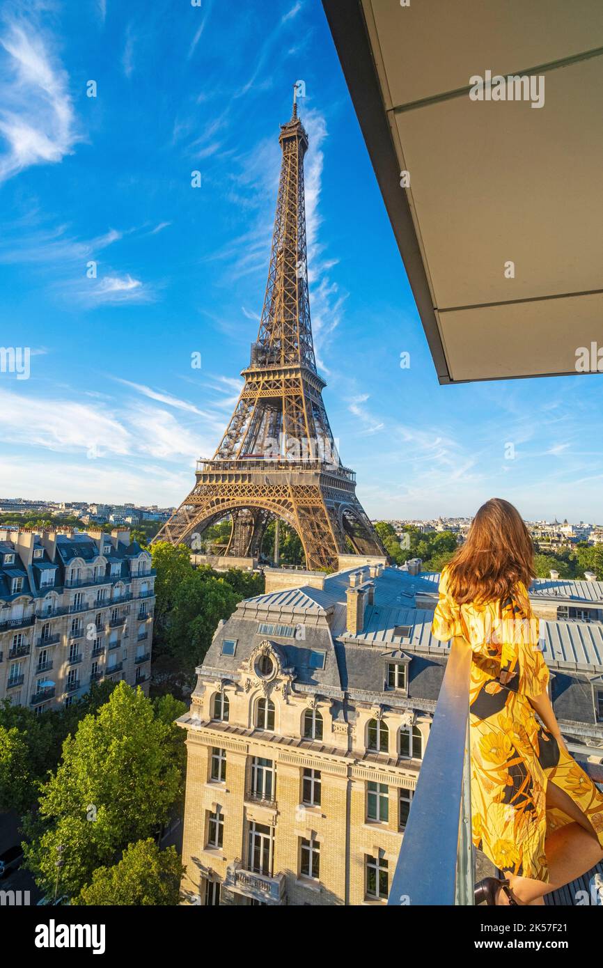 France, Paris, Hotel Pullman Paris Tour Eiffel, the rooftop Bar Stock