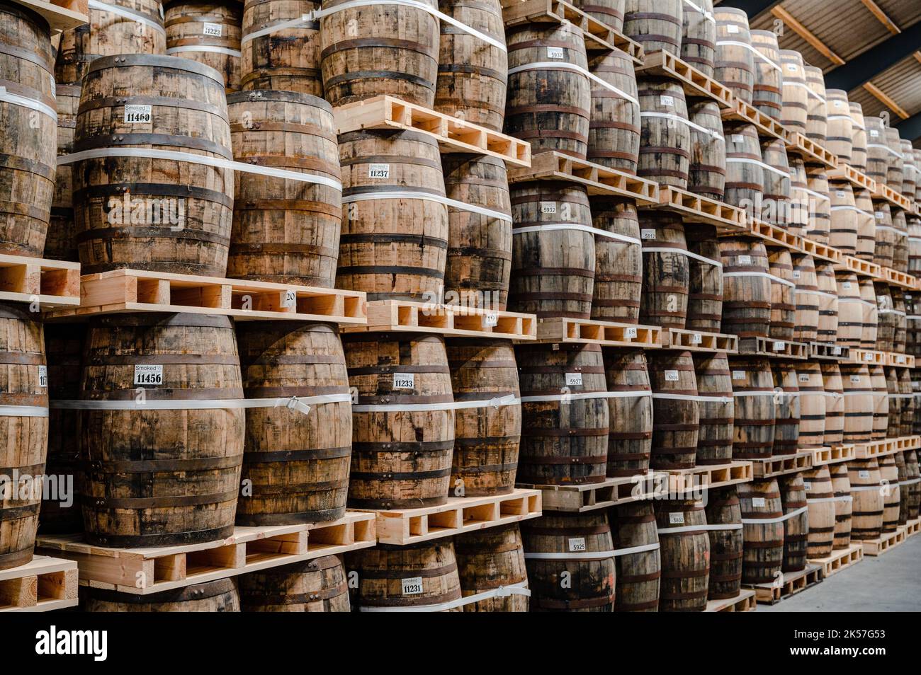 Stored oak barrels in the warehouse of a whisky distillery Stock Photo