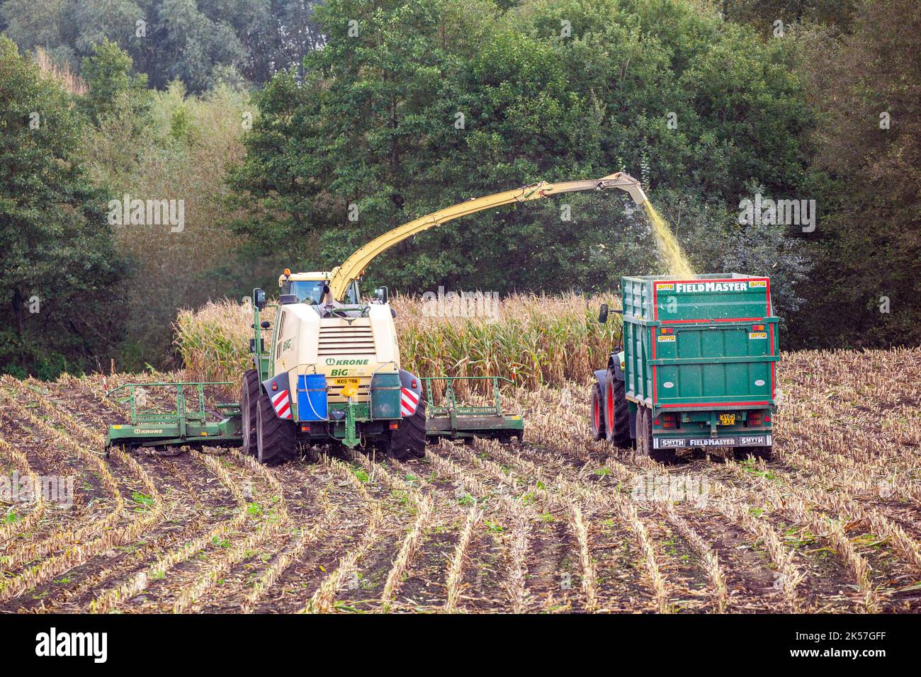 Farmer agricultural contractor farm worker using Krone Big X 700 Self