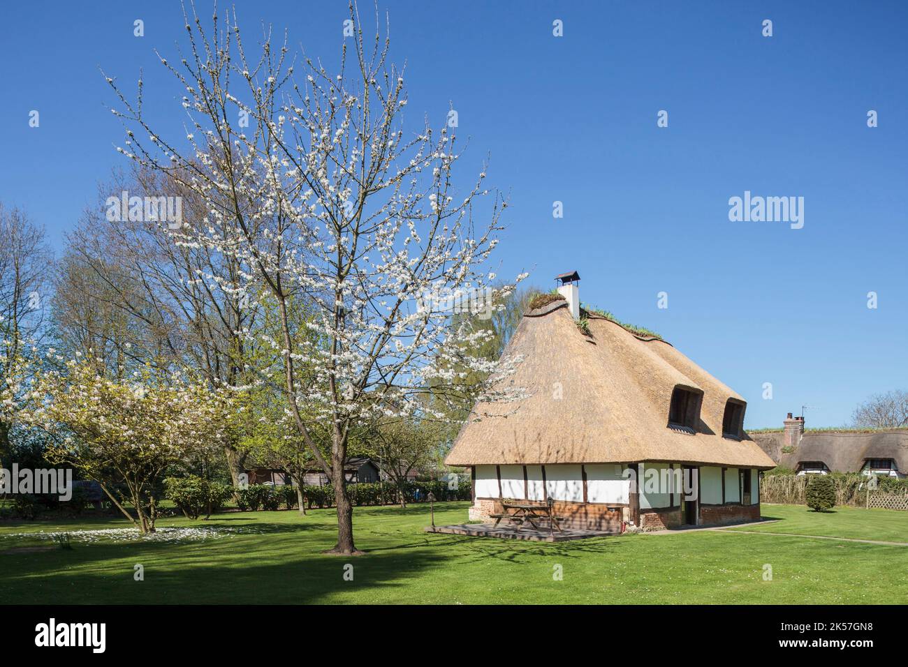 France, Eure, Route des Chaumières loop, near Pont-Audemer, Norman half-timbered house with thatched roof, recently renovated roof Stock Photo