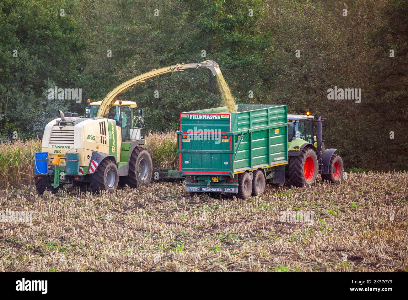 Farmer agricultural contractor farm worker using Krone Big X 700 Self