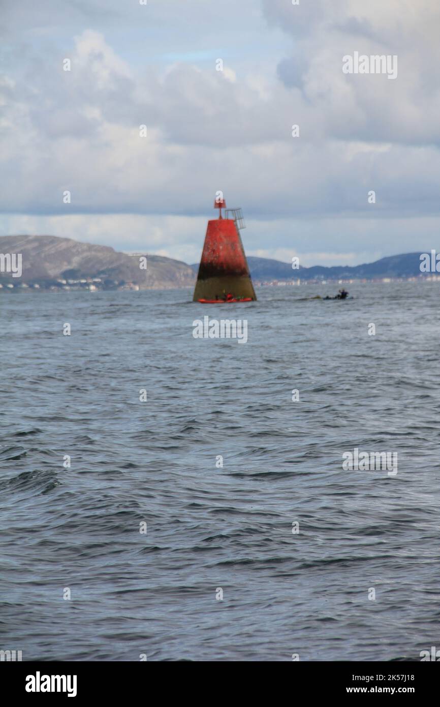 King cadwallon ap cadfan hires stock photography and images Alamy