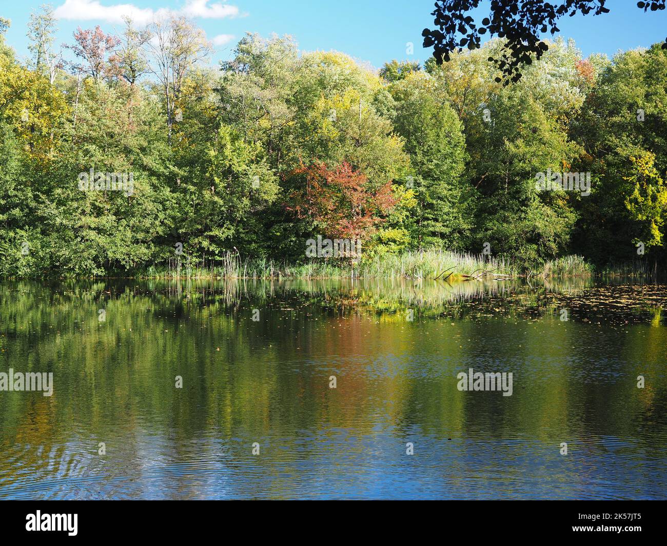 Beautiful city / public park in autumn Stock Photo - Alamy