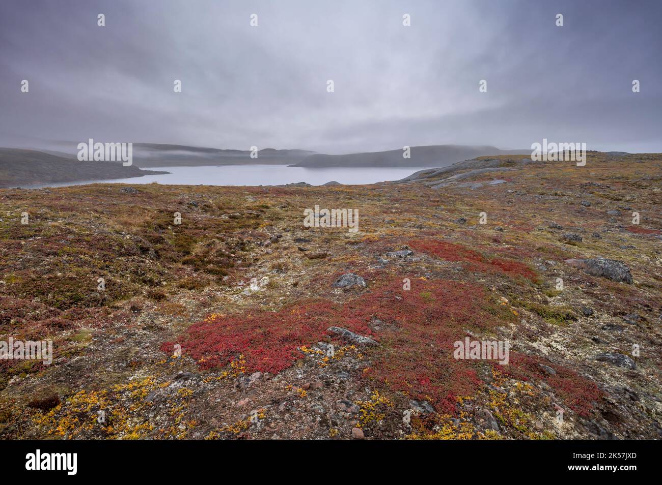 Foggy day over an inlet in the Arctic Ocean at Apex, Nunavut Stock ...