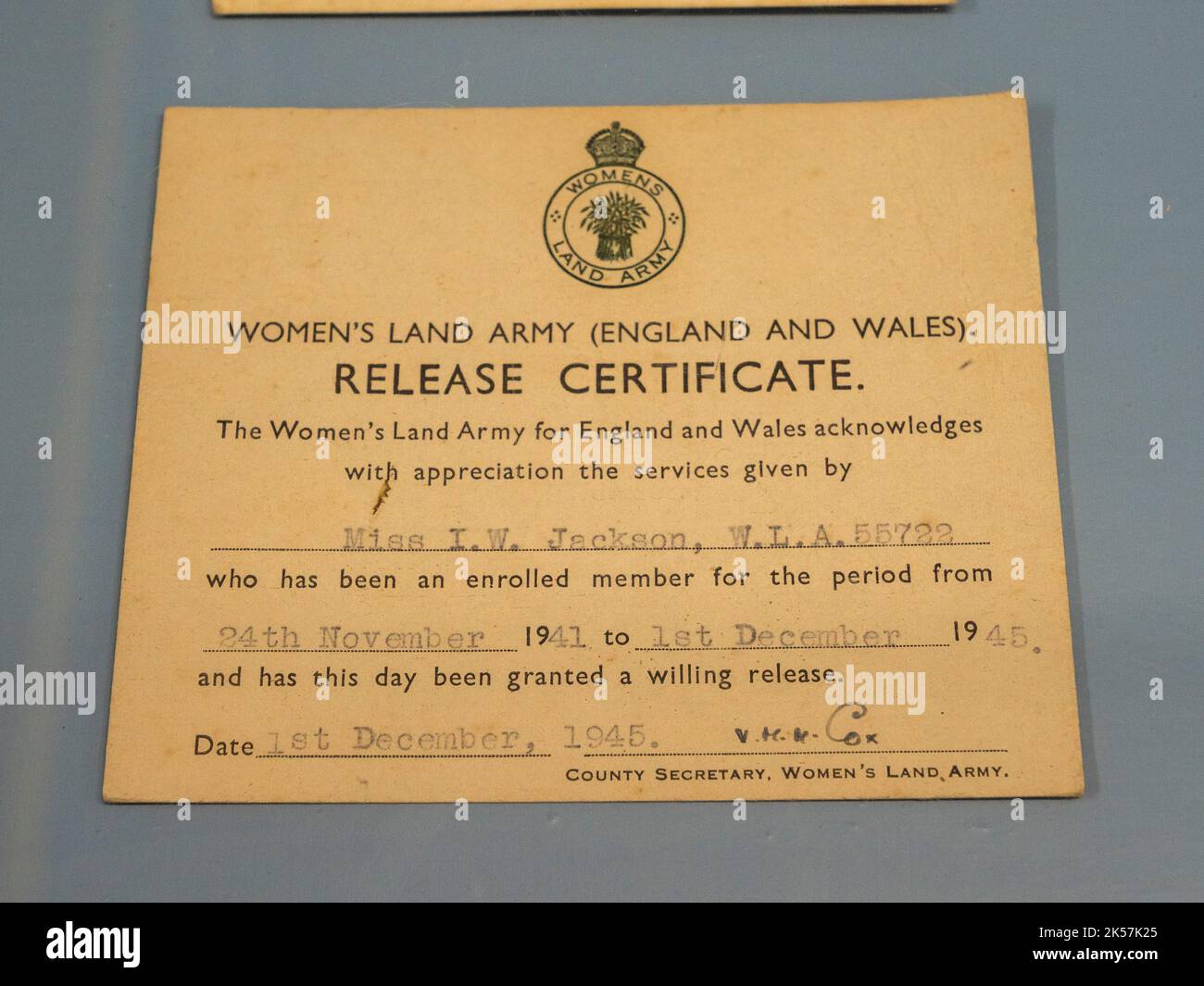 Photograph of certificate issued to the Calpin family, 1914. Artist:  Unknown Stock Photo - Alamy