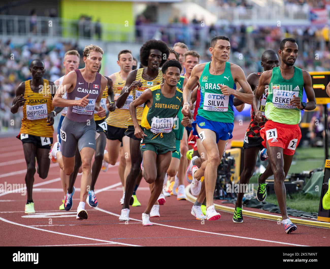 Altobeli silva hires stock photography and images Alamy