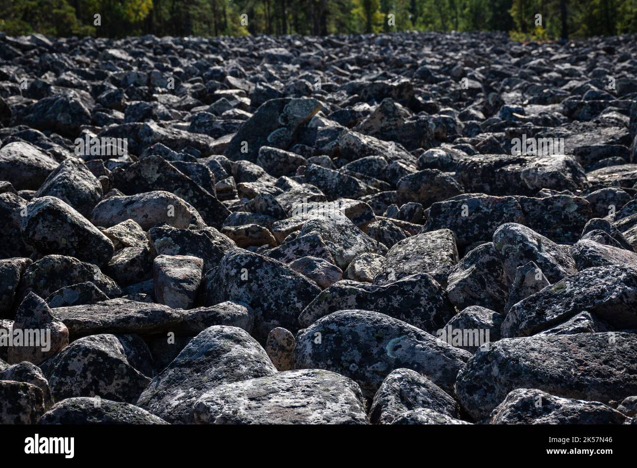 Close-up of a boulder field, Kivijata in Lauhanvuori National Park, Isojoki, Finland. Also known as pirunpelto (Devil's field). Stock Photo
