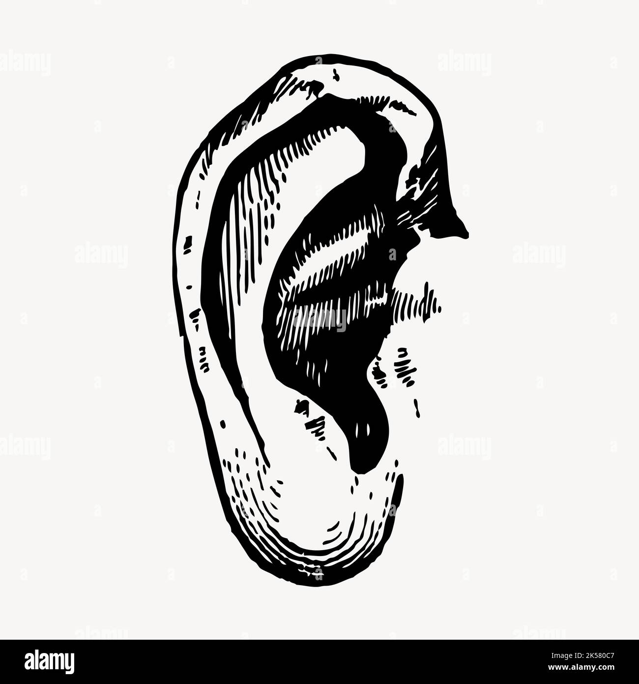 Ear Black And White Clip Art