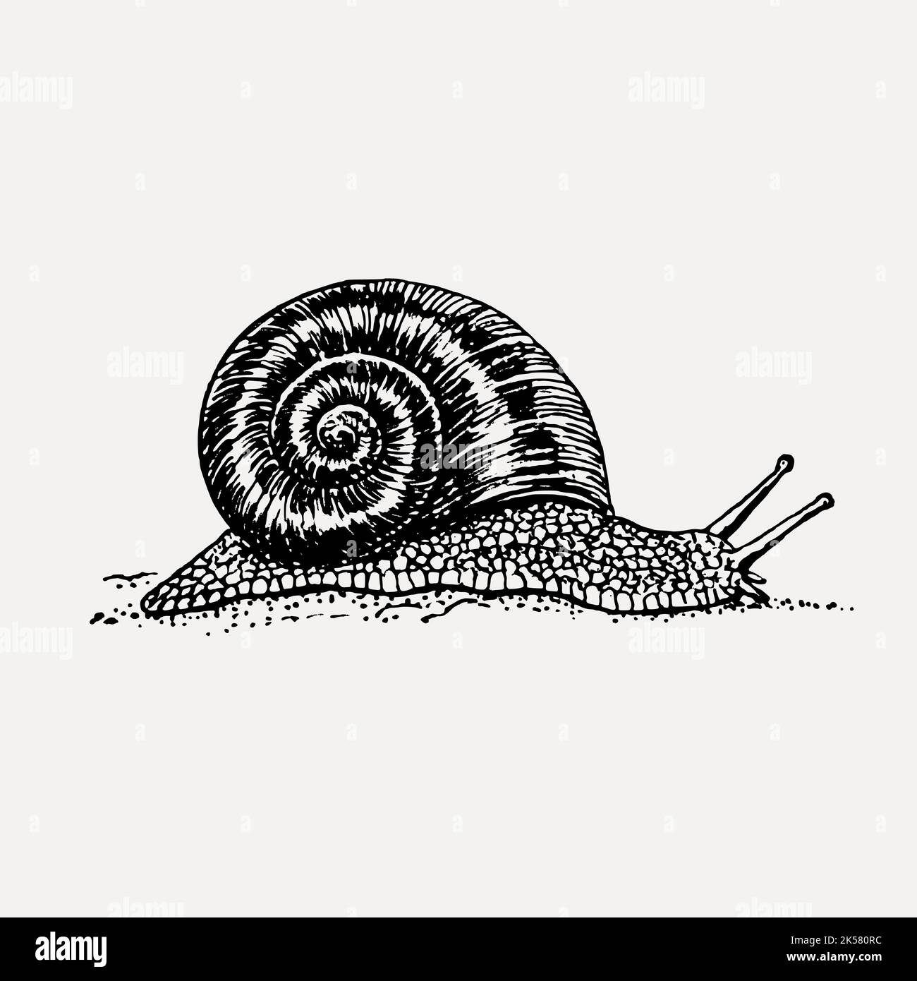 Sluggish Clipart