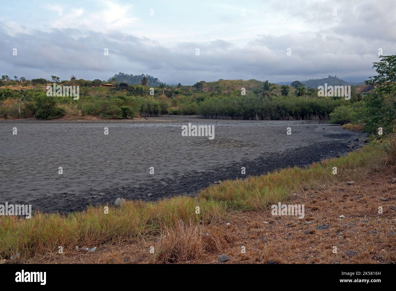 mudflat in north of island with mangroves growing Sao Tome, Sao Tome