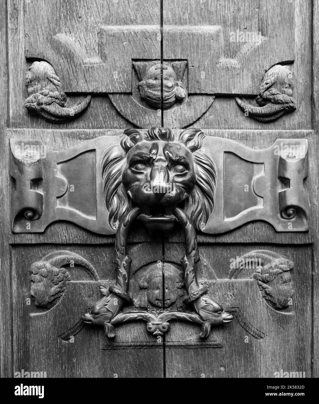 Stunning detail of traditional lion head shaped door knocker Stock Photo