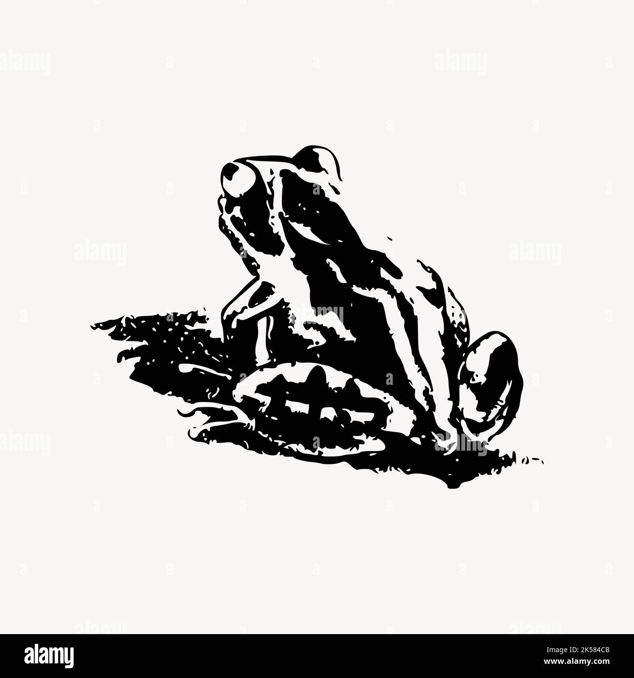 Vintage frog drawing, animal hand drawn illustration vector Stock