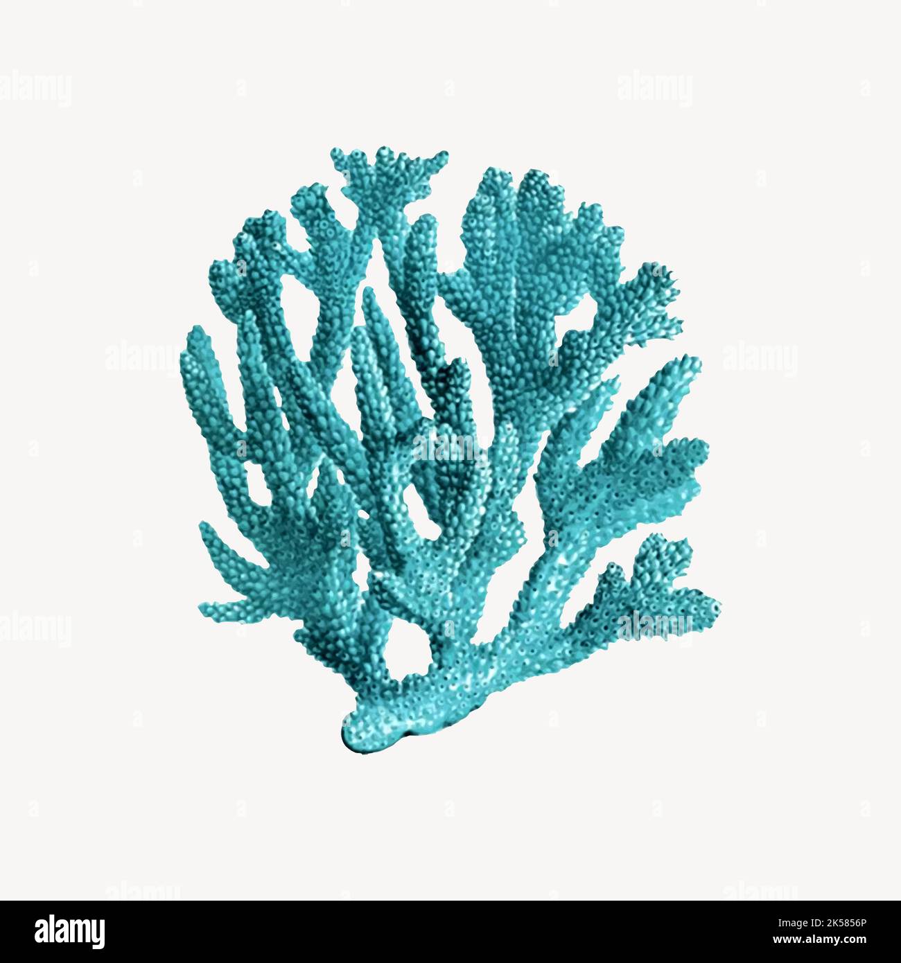 Blue coral clipart, sea life illustration vector Stock Vector Image