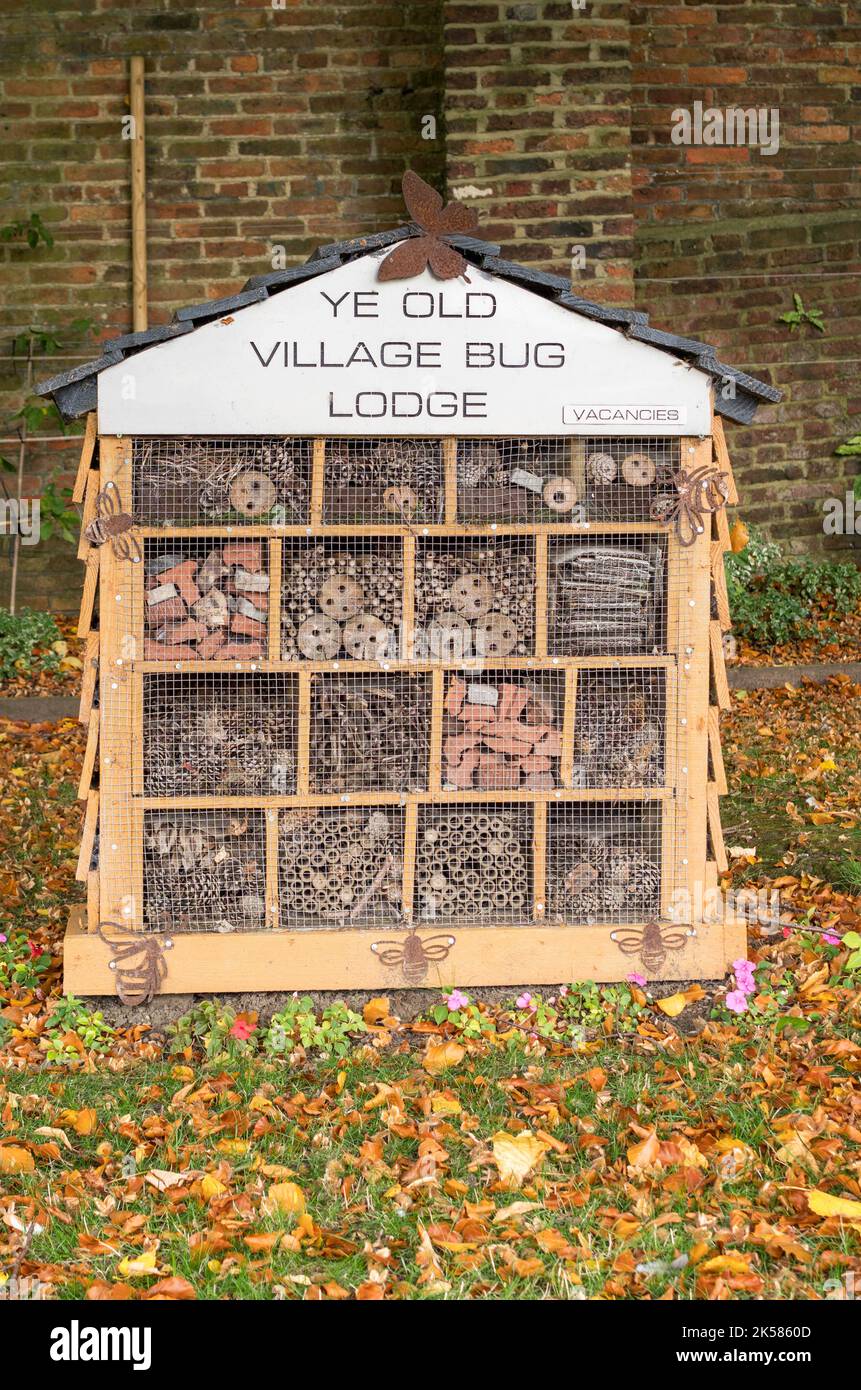 Bug lodge hi-res stock photography and images - Alamy