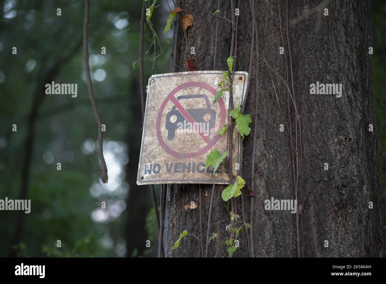 Close up of a sign prohibiting vehicular traffic Stock Photo - Alamy