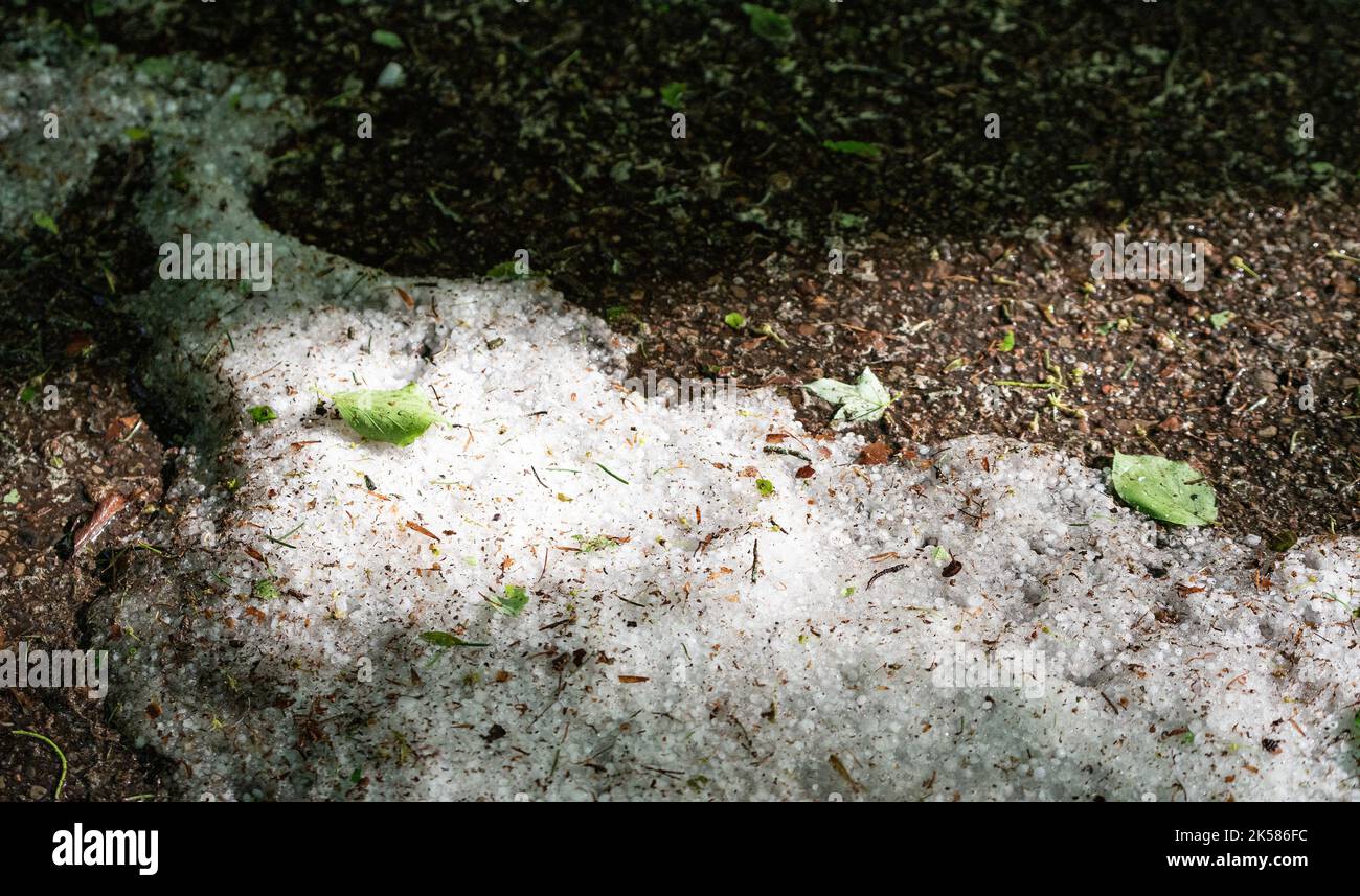 Hail on the ground after the storm. Spring hail balls after heavy ...