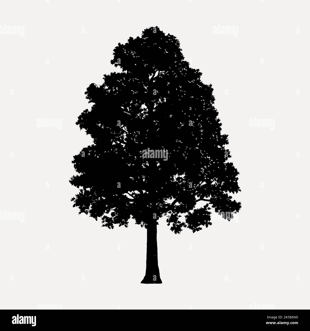 Pin Oak Tree Silhouette Clipart Nature Illustration In Black Vector what-is-an-acorn-online-sukan-co-in
