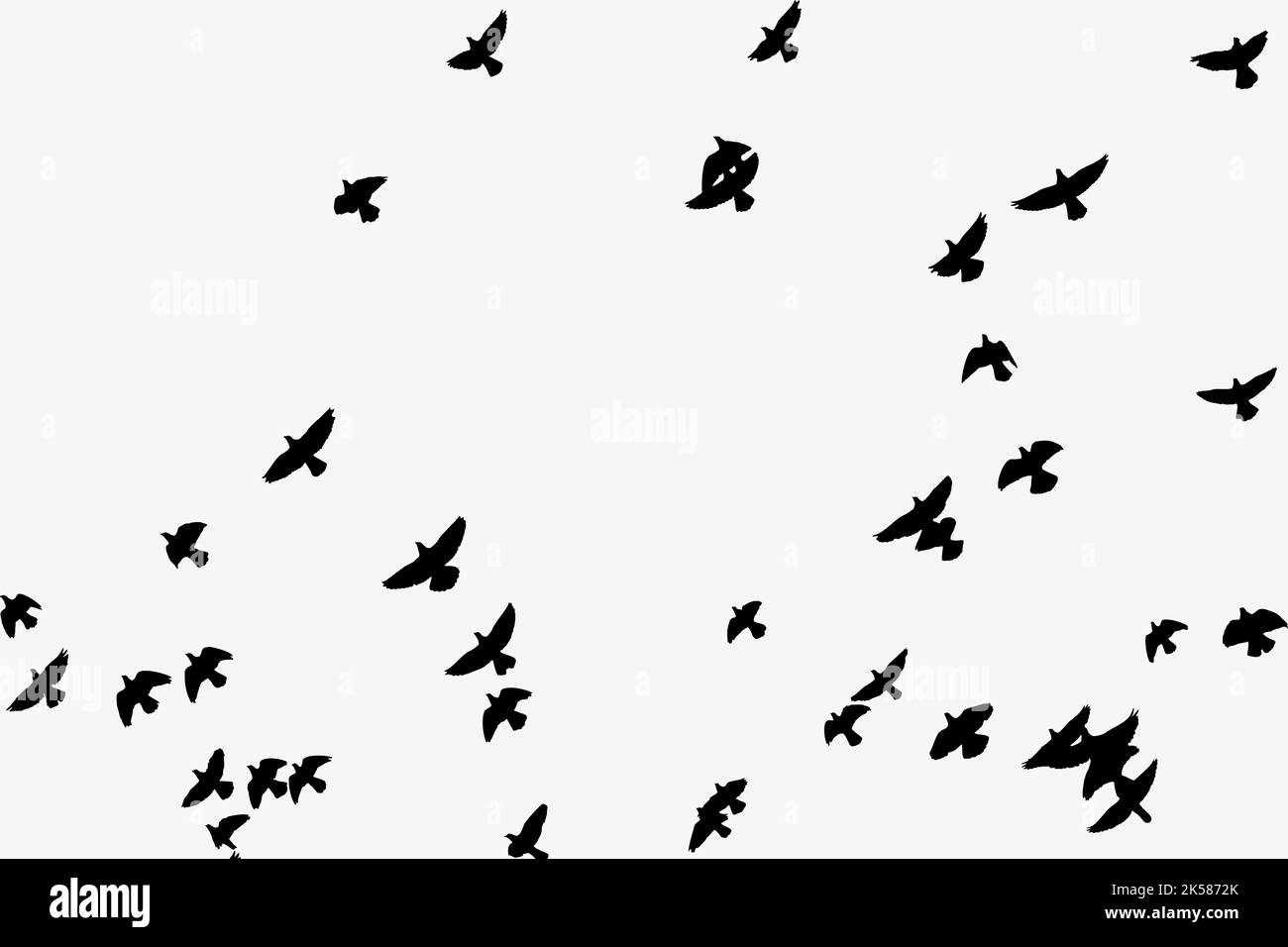 Flying Birds Silhouette Background Animal Illustration In Black Vector