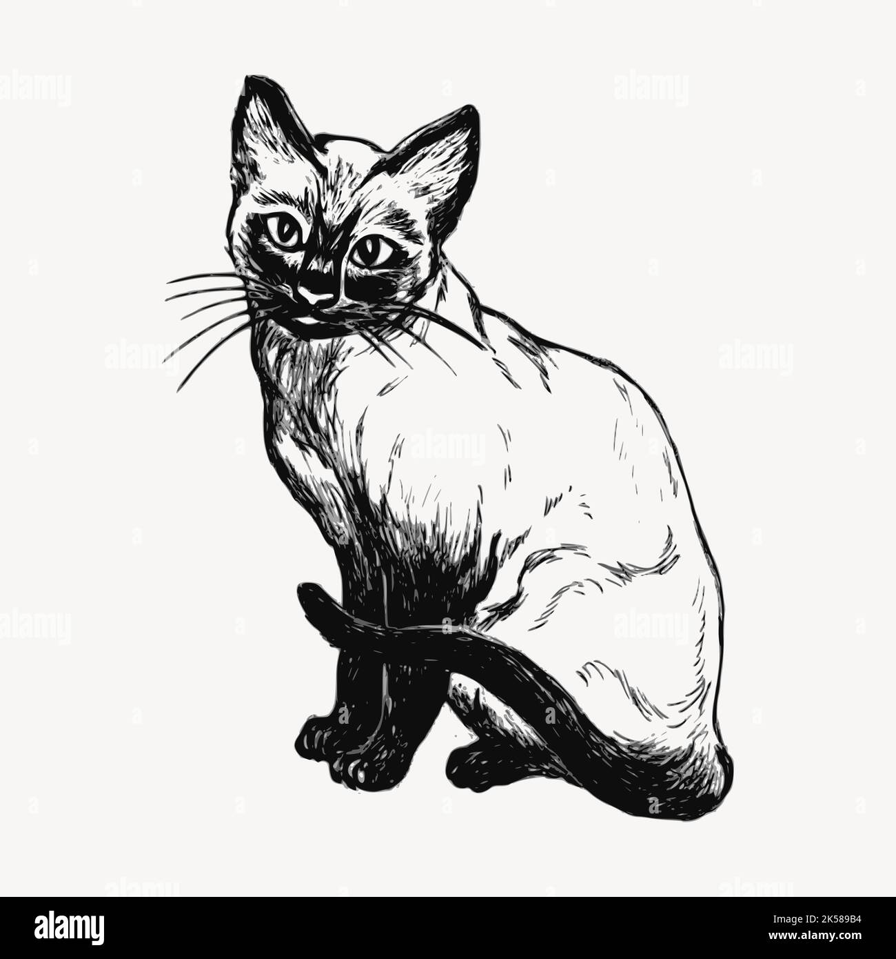 Siamese Cat Clipart Black And White