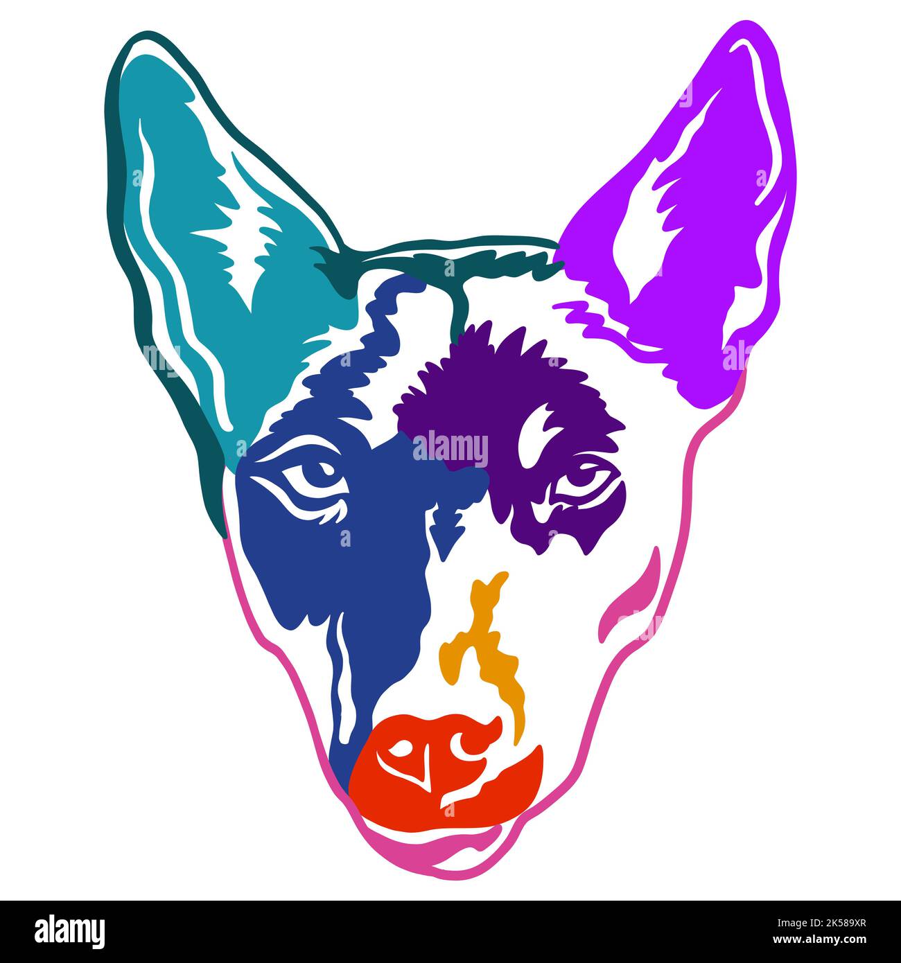 Australian kelpie dog color contour portrait. Dog head front view vector illustration isolated on white background. For decor, design, print, poster, Stock Vector