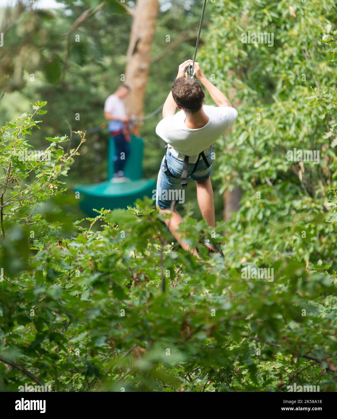 Teenage boy above trees on a zip line in a tree climbing center Stock