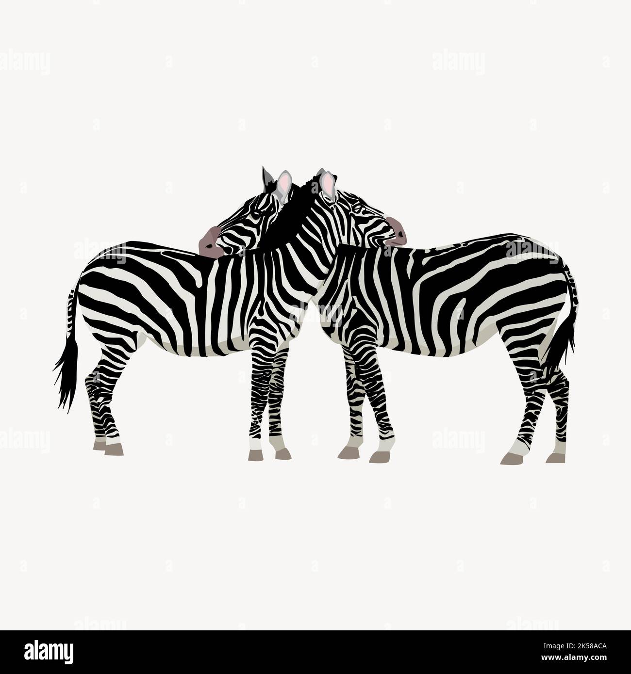 Two zebra friends clipart, illustration vector Stock Vector Image & Art