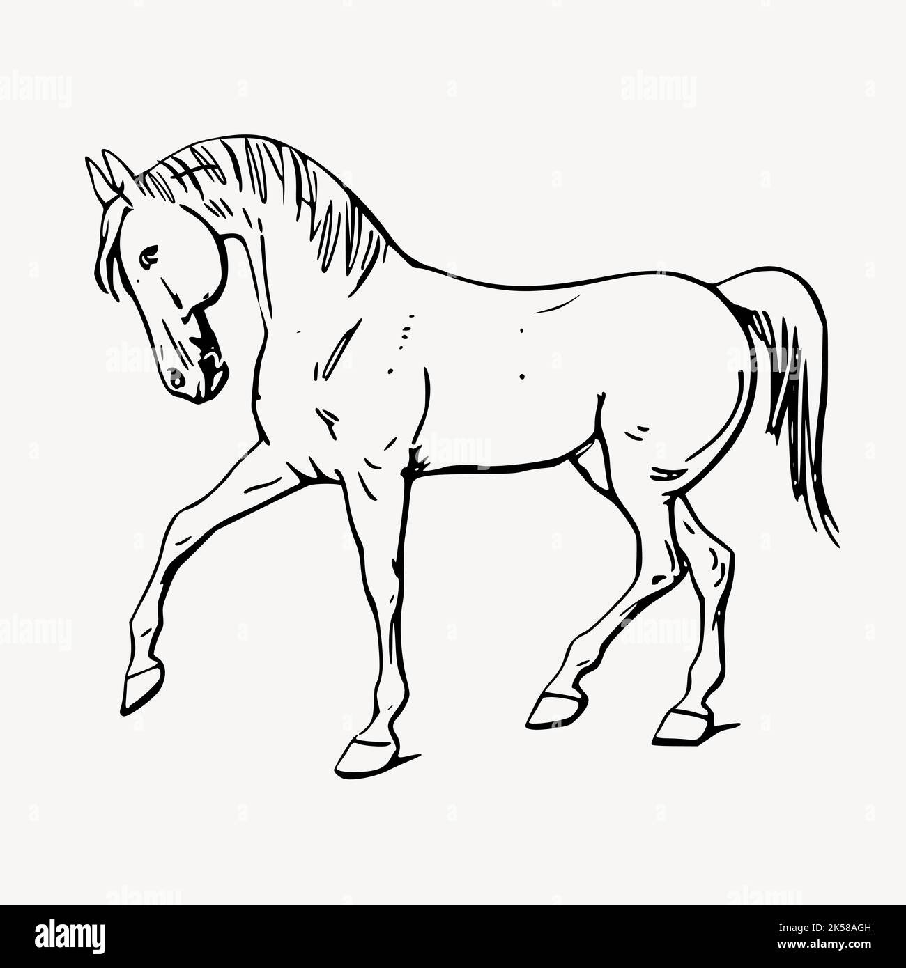 Walking horse line art, animal illustration vector Stock Vector Image