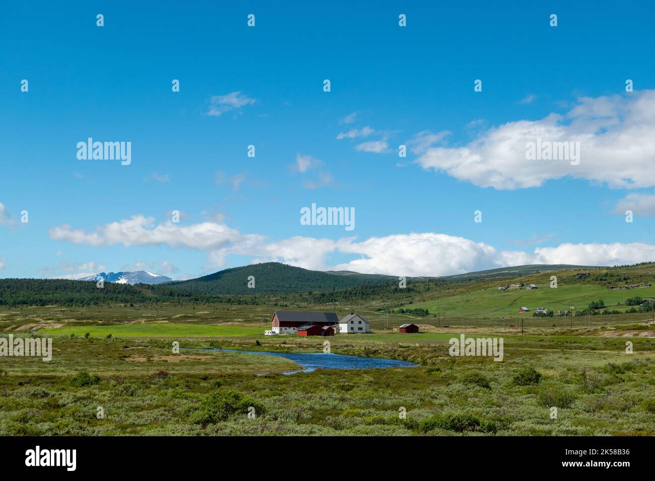 beautiful nature in Rondane National Park, Norway Stock Photo