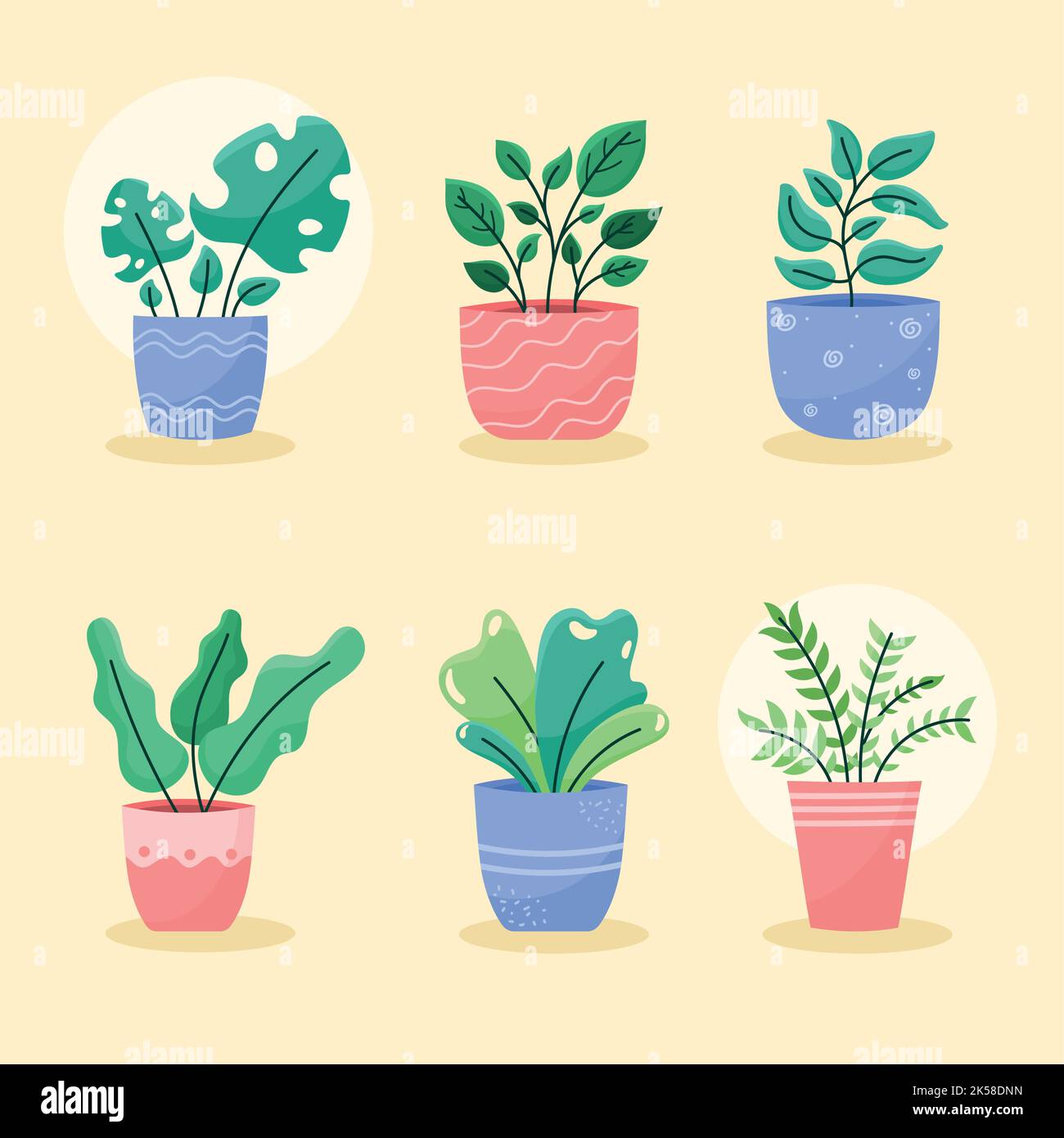 six houseplants in pots icons Stock Vector Image & Art - Alamy