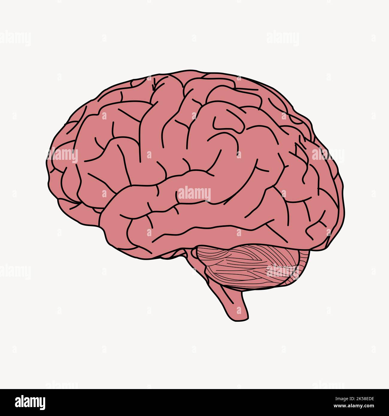 Human brain clipart, Halloween cartoon illustration vector Stock Vector