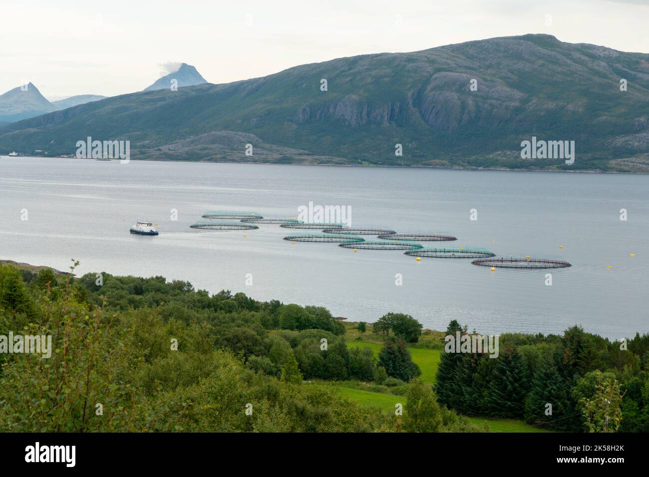 salmon farm at sea at the island of Leka in Norway Stock Photo