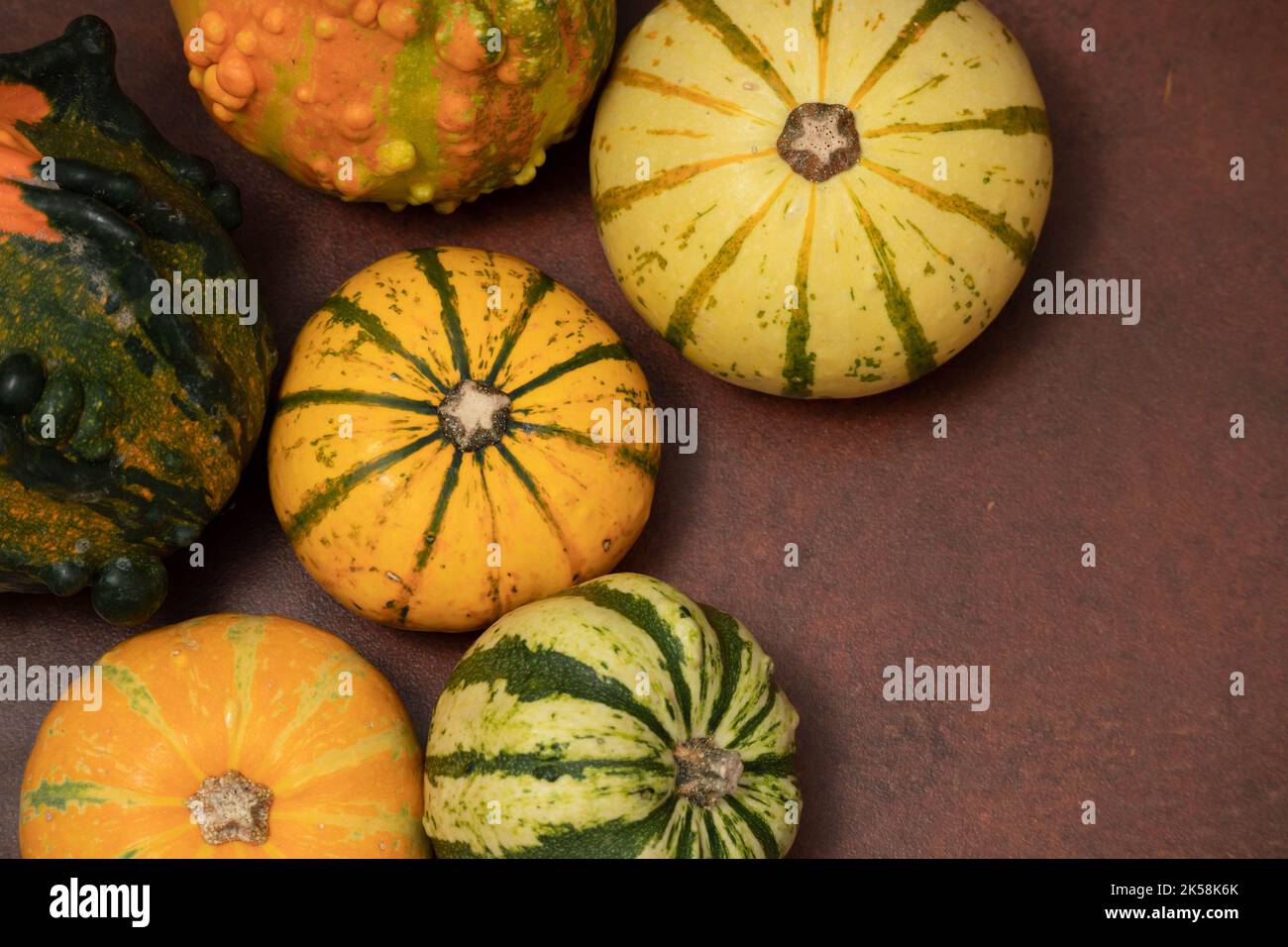 Small pumpkins on an oxide background Stock Photo