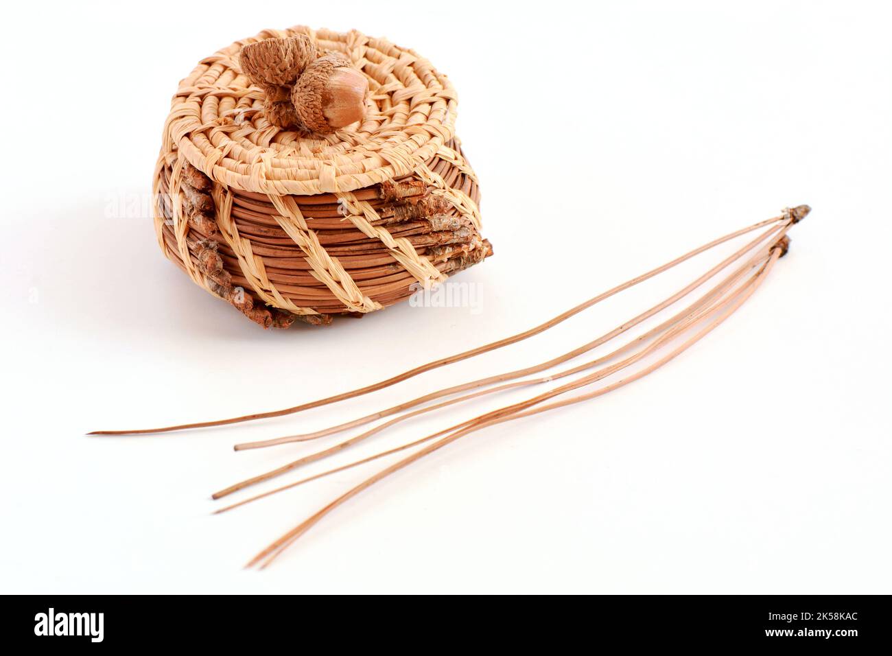 Tiny hand-made woven pine needle basket and pine needles shows ancient skill using natural materials.  Horizontal and shot on white background. Stock Photo