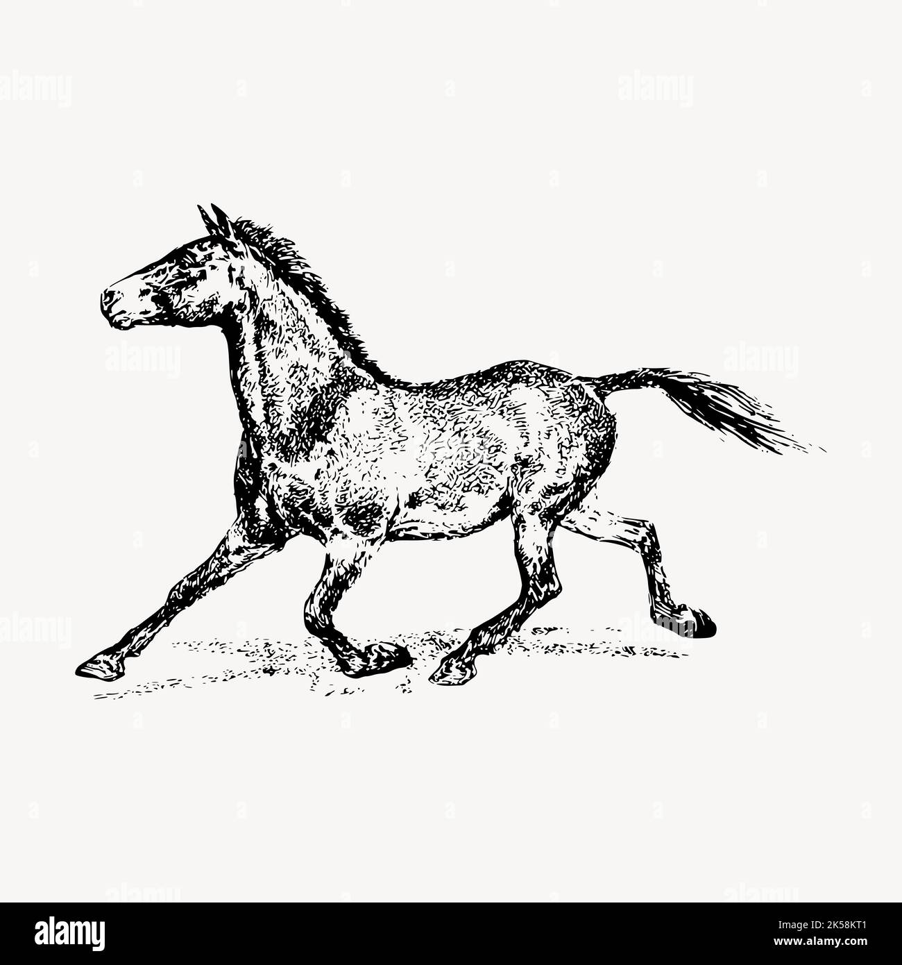 Running horse drawing, vintage animal illustration vector Stock Vector Image & Art Alamy