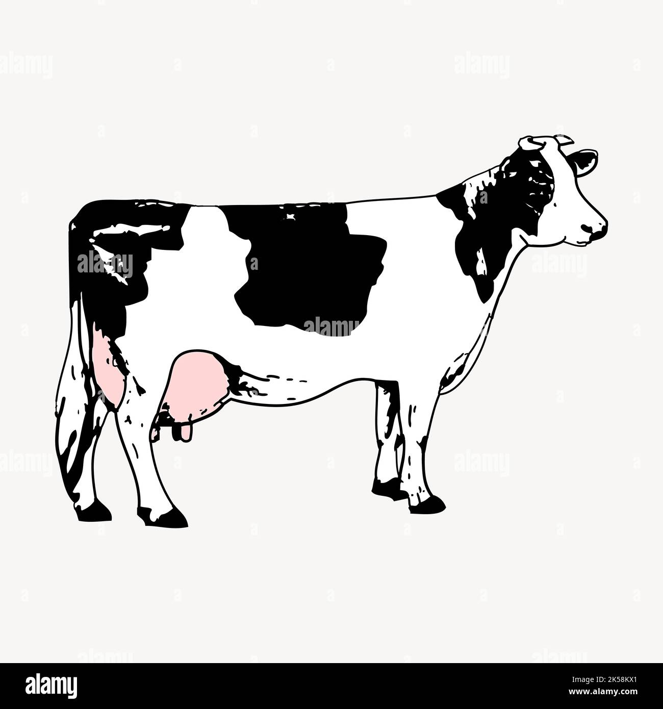 Dairy cattle collage element hi-res stock photography and images - Alamy