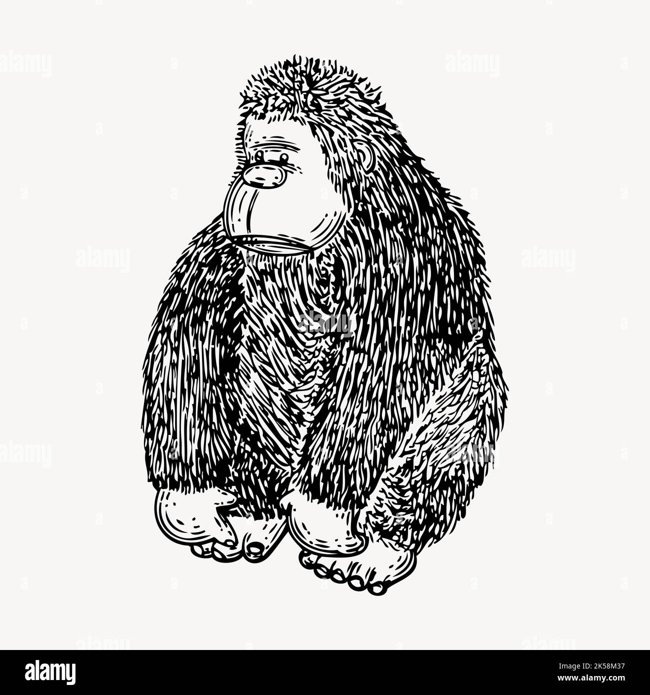 Gorilla drawing, vintage animal illustration vector. Stock Vector
