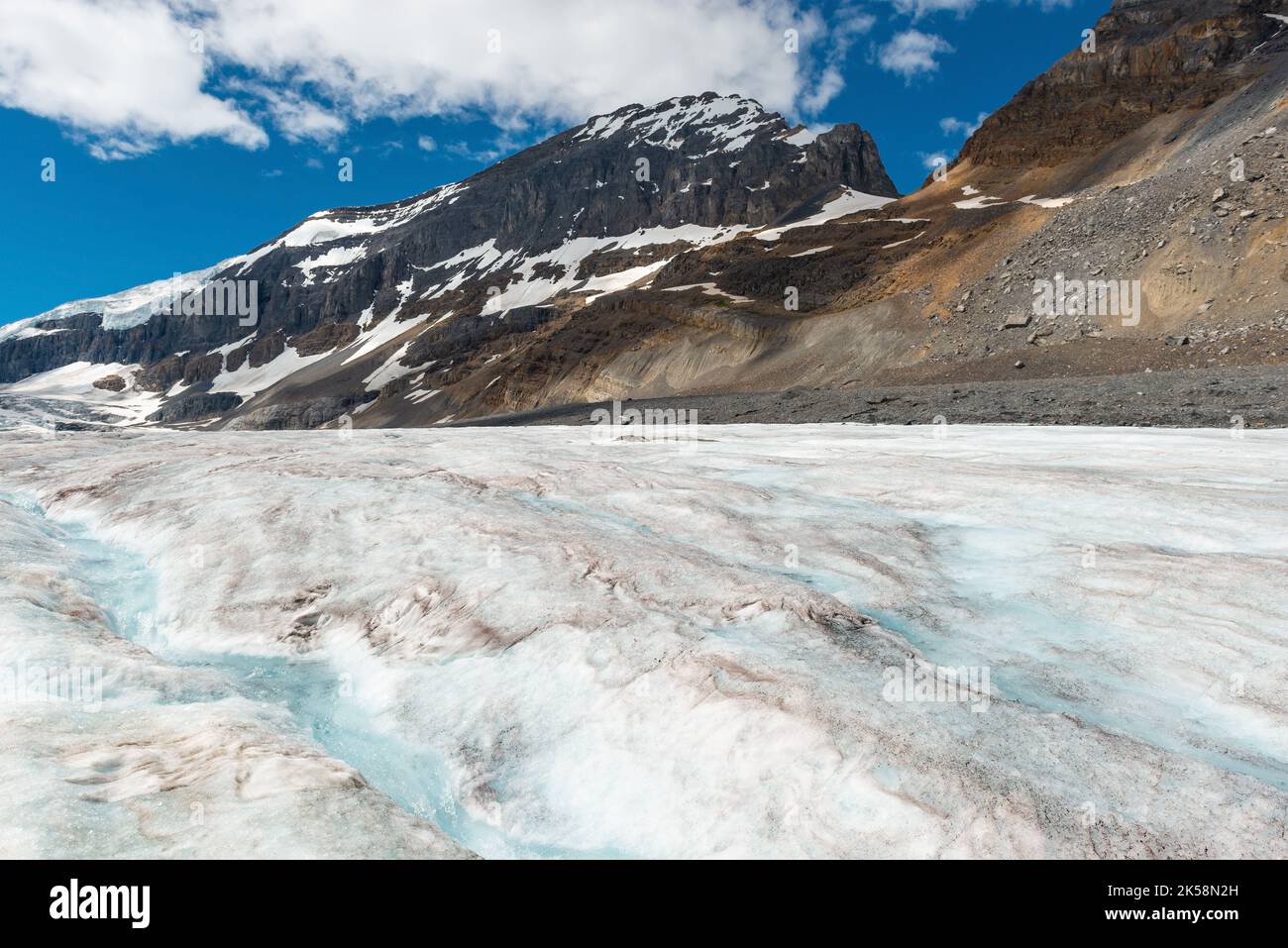 Athabasca glacier with melting water forming a small river, Jasper national park, Alberta, Canada. Stock Photo