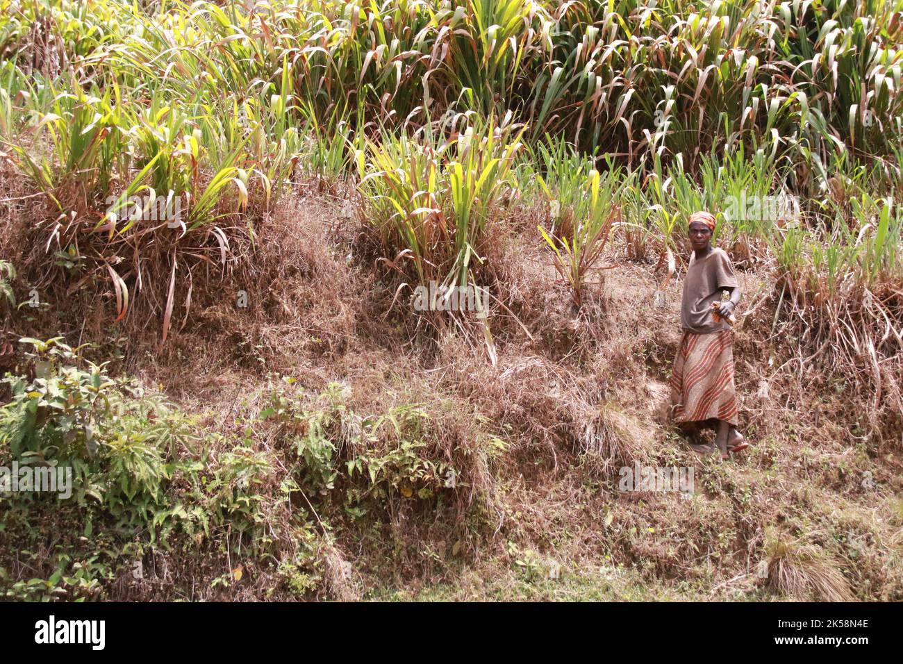 Bururi province, Burundi. Stock Photo