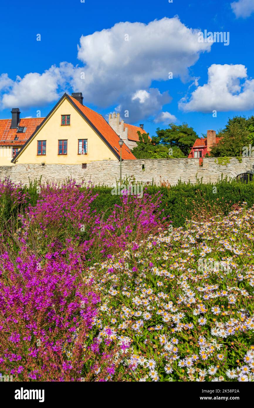 Almedalen park hi-res stock photography and images - Alamy