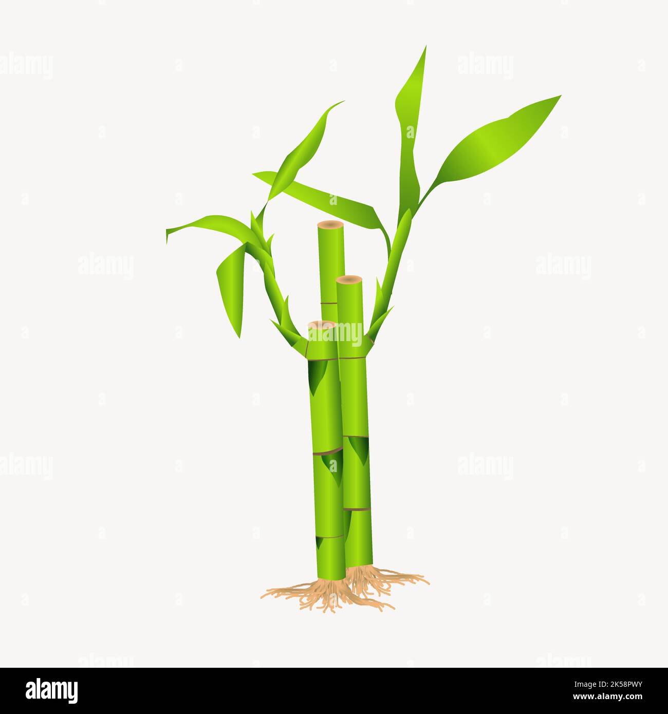 Bamboo plant clipart, illustration vector Stock Vector Image & Art Alamy